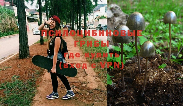 прущий лед Бородино