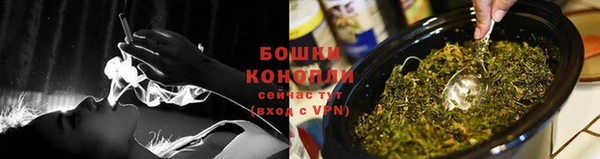 прущий лед Бородино