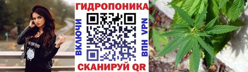 дарнет шоп  Томмот  гидра как войти  Бошки Шишки планчик 